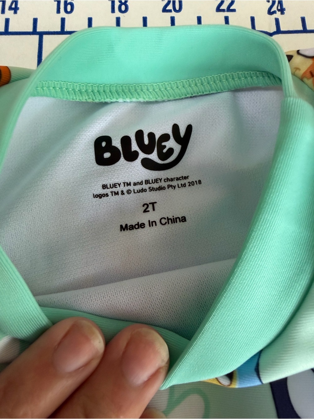 Kids Bluey Mint Green Two-Piece Swim Set - Mint Green - Picture 3 of 4